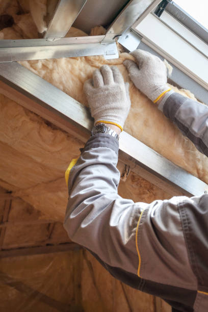 Types of Insulation We Offer in Homeland Park, SC