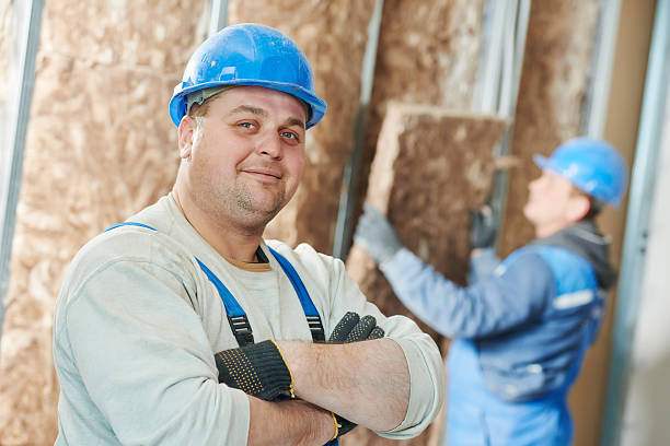 Best Eco-Friendly Insulation in Homeland Park, SC