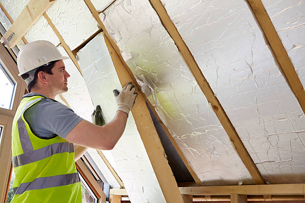 Best Insulation for Specific Applications in Homeland Park, SC