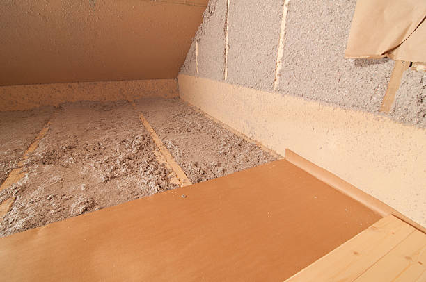 Best Geographic-Specific Insulation Services in Homeland Park, SC