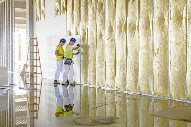 Best Cellulose Insulation in Homeland Park, SC